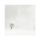 dailyPhoto20